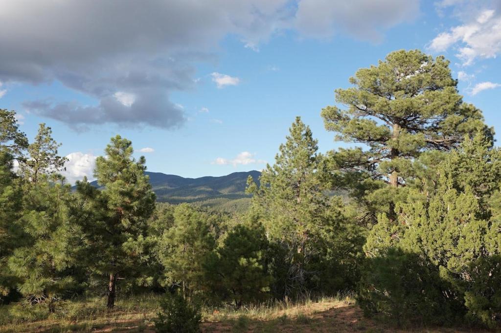 Peaceful Forest Home, Comfy And Well-equipped * Santa Fe