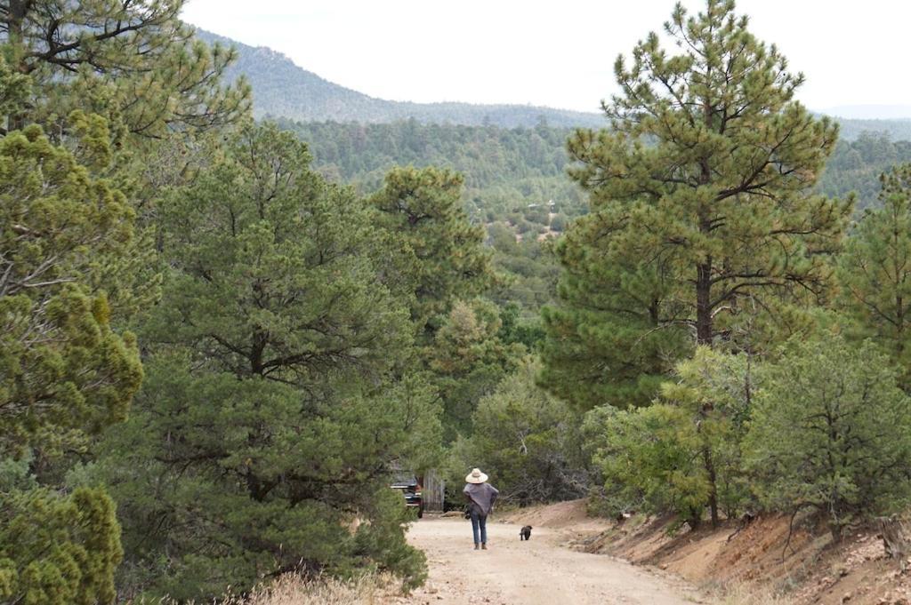 Vakantiehuis Peaceful Forest Home, Comfy And Well-equipped *